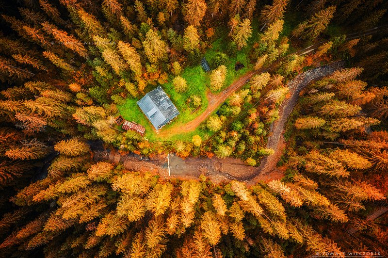 drone, poland, morning, sunrise, sunset, awesome, adventure, amazing, air, autumn, mavic, dji, landscape, countryside, forest, trees, shelter, above Alone in the forestphoto preview