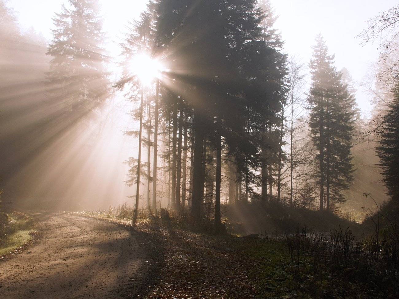 ///. Автор: Krzysztof Tomasiak , Krzysztof Tomasiak