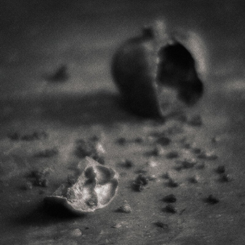 Растраченная жизньphoto preview