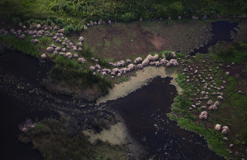 Фрагмент планетыphoto preview