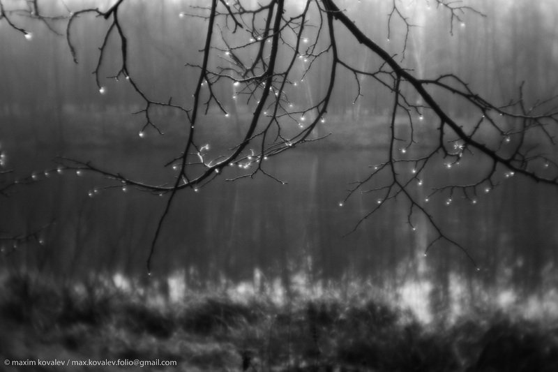 europe, kuzminki, moscou, moscow, russia, autumn, branch, drop, monocle, monolense, nature, park, photo, plant, pond, water, европа, кузьминки, москва, россия, ветка, вода, индустар 50-2, капля, монокль, объектив, осень, парк, природа, пруд, растение Драгоценная пора / Precious timephoto preview