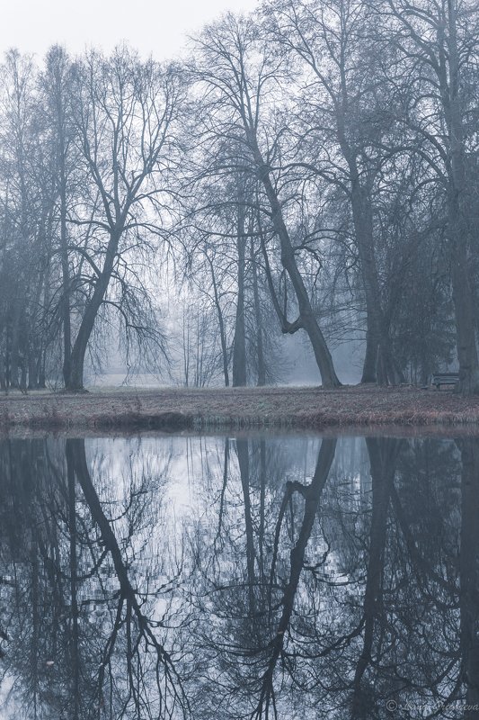 павловск, осень, парк, отражения, туман ***photo preview