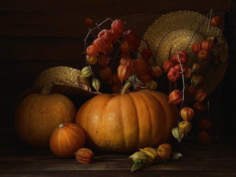 Тыквы и физалис.photo preview