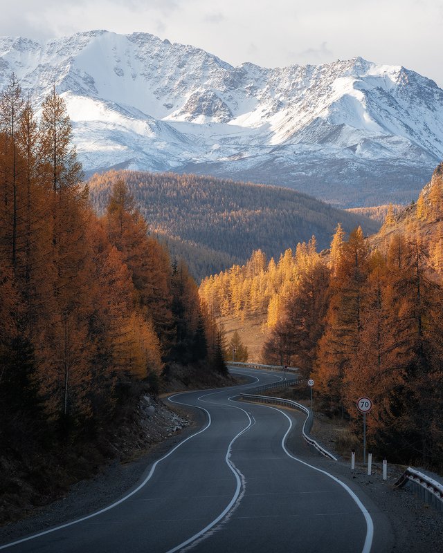 алтай Чуйский трактphoto preview