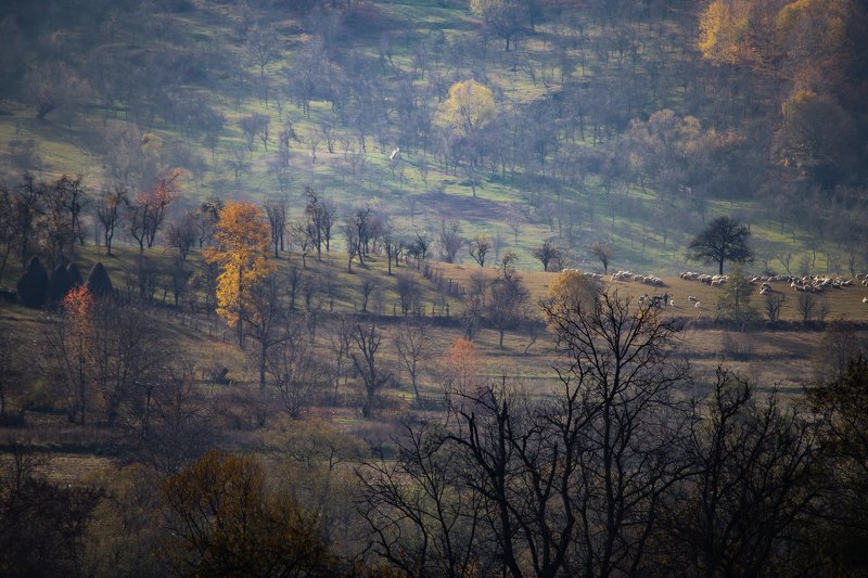 Autumn in Romaniaphoto preview