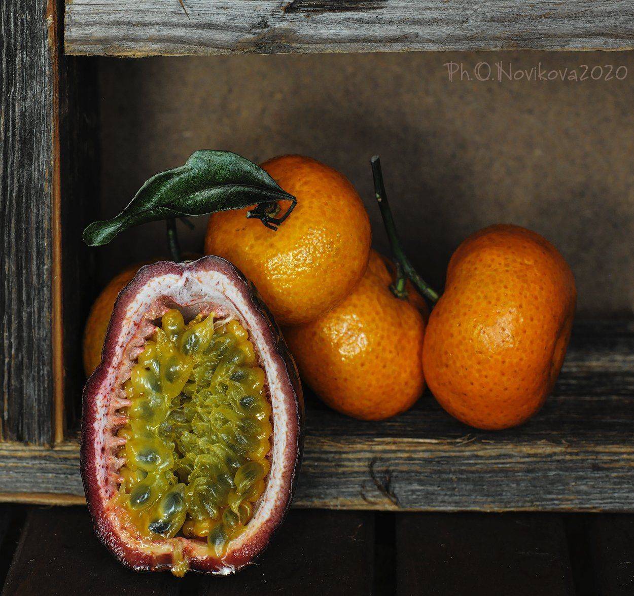 , Ольга Новикова