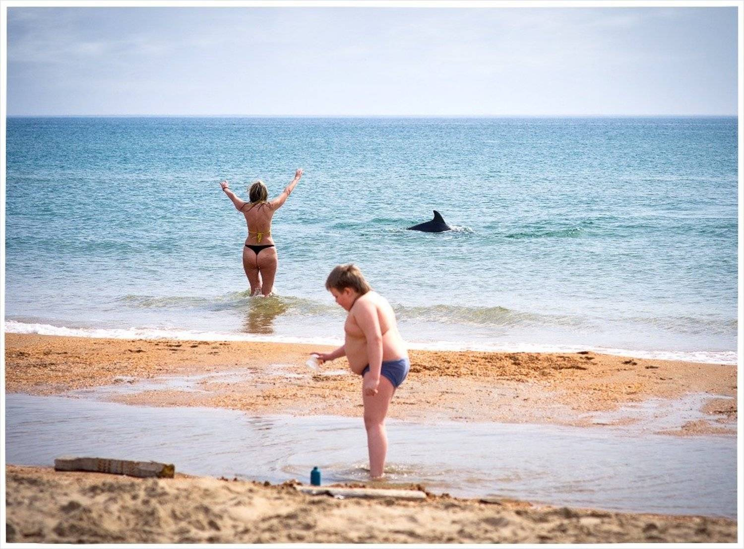 нежданно-негаданно... Автор: Eland , Eland