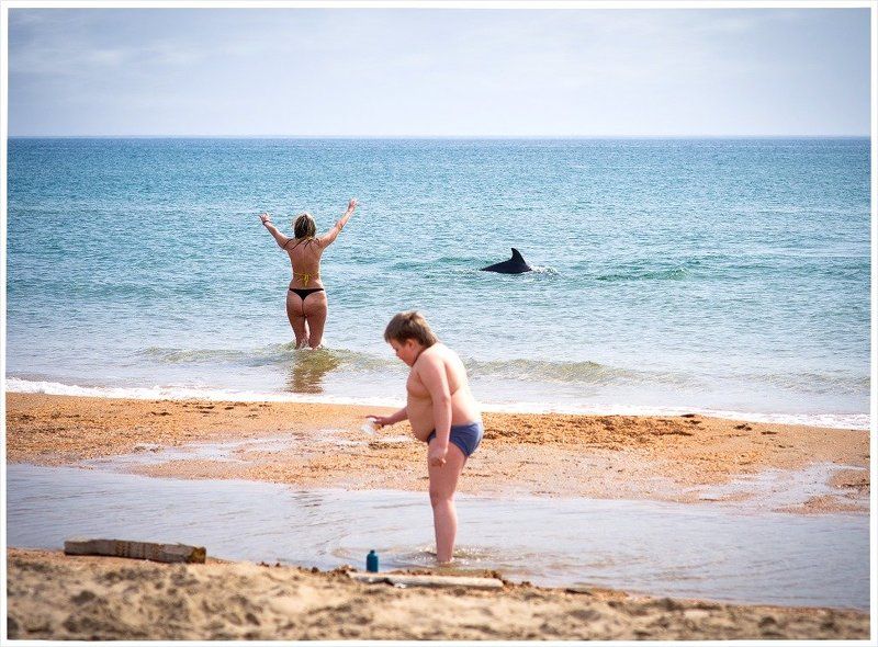 нежданно-негаданно..photo preview