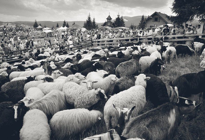 roman shymkovych, роман шимкович, жанр, люди,  people Кошараphoto preview