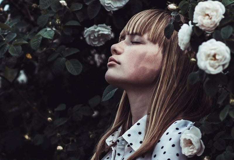 Цветыphoto preview