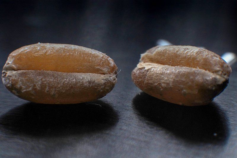 hello, loaf,привет,батон,макро,пшеница,зерно hello, loafphoto preview