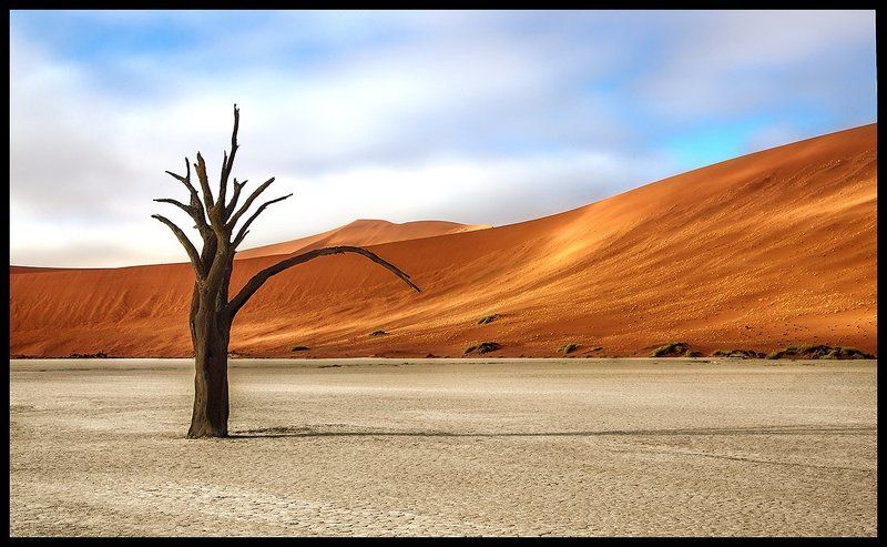 Седой рыцарьphoto preview