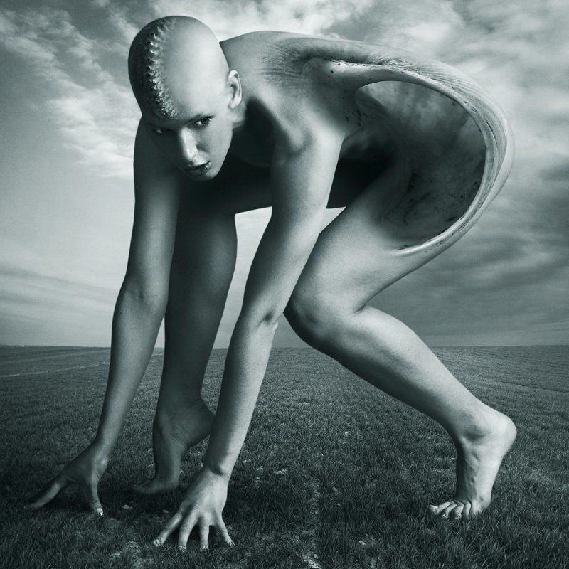 she shellsphoto preview