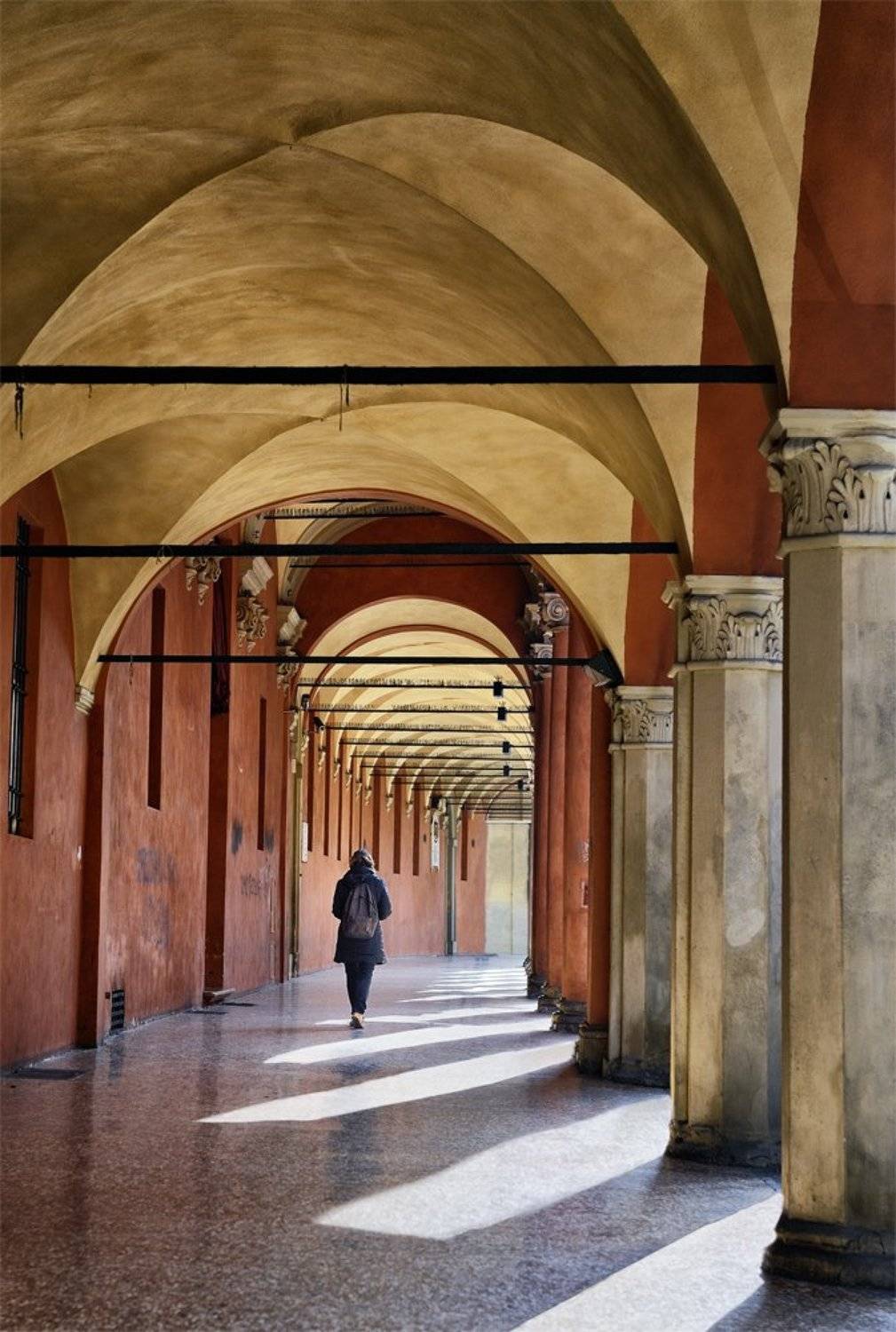 Belle Arti. Автор: Danny Vangenechten italy, , bologna, , , portico, Danny Vangenechten