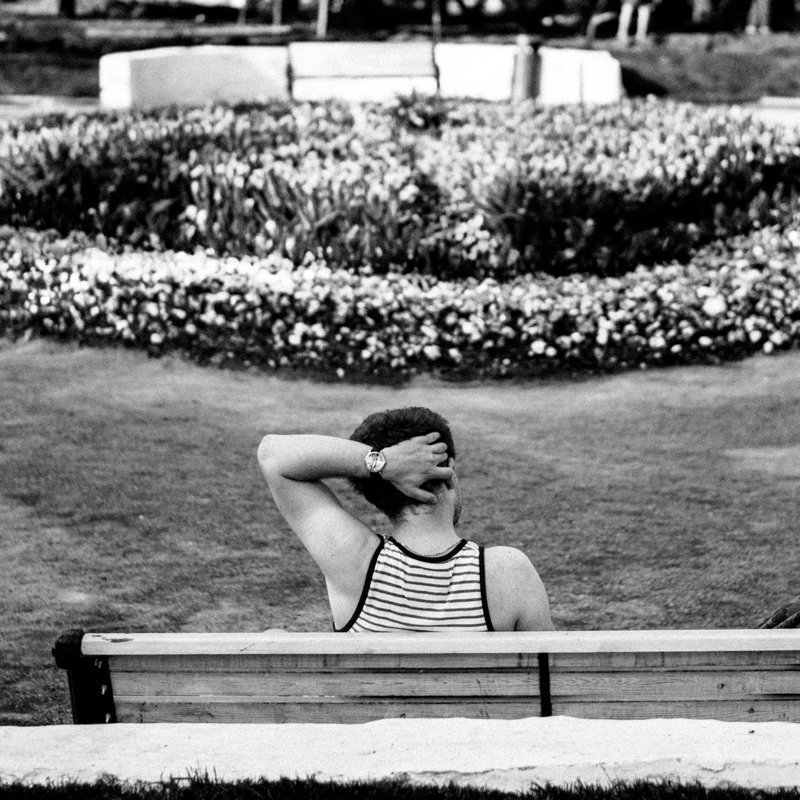 Summer in the parkphoto preview