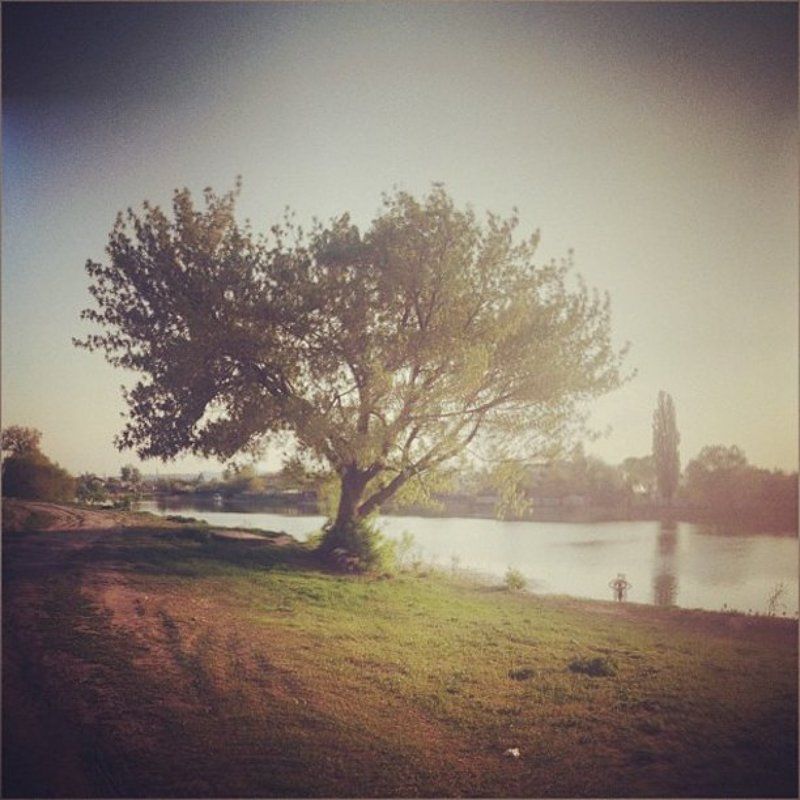 природа, киев, город * * *photo preview