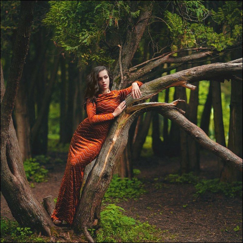 Тигроваяphoto preview