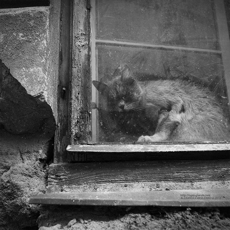 ГОРОДСКИЕ СУДЬБЫ...photo preview