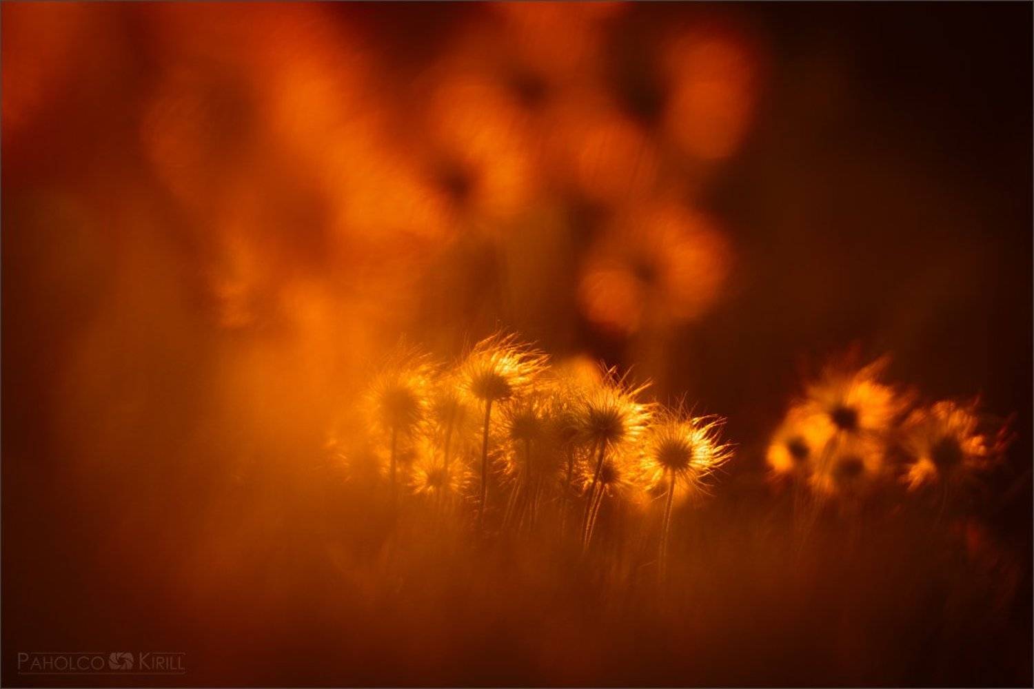 Только воспоминания. Автор: KIZILL , KIZILL