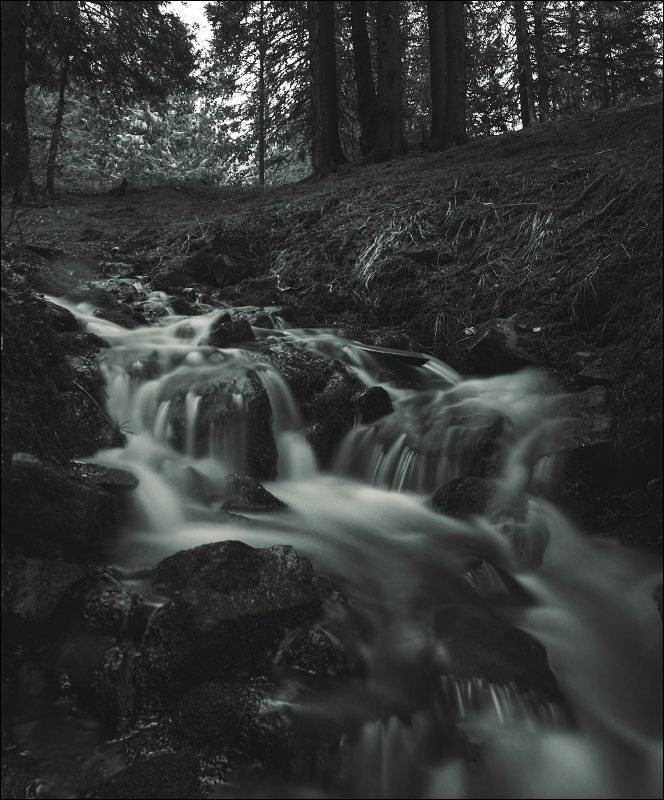 .... Автор: Полищук И.В. , Полищук И.В.