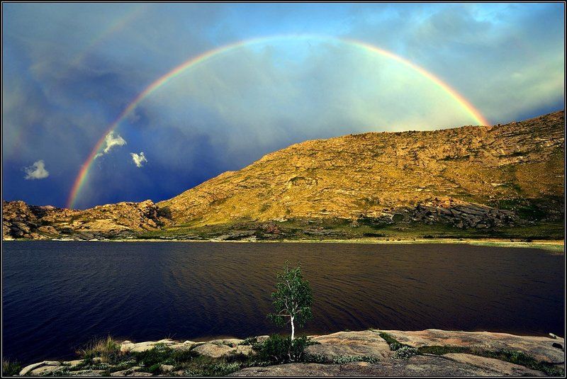 Березка под радугой  ( к с нимку Перед грозой)photo preview