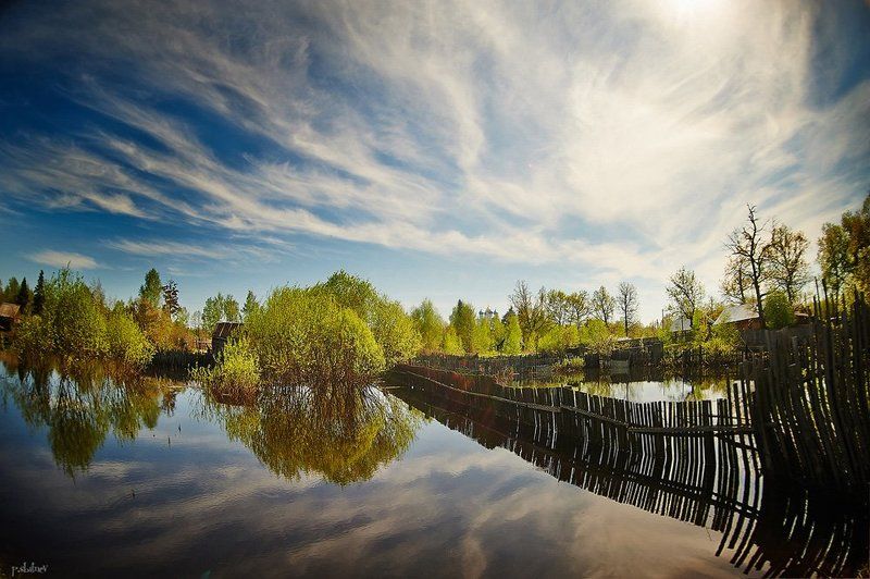 ...не вынюхав дороженькиphoto preview