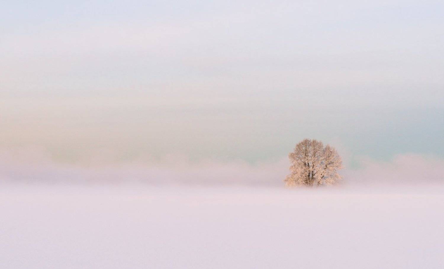 Место, где можно уединиться.... Автор: Пеккер Сергей minimal, winter,snow,tree,nature,myst, Пеккер Сергей