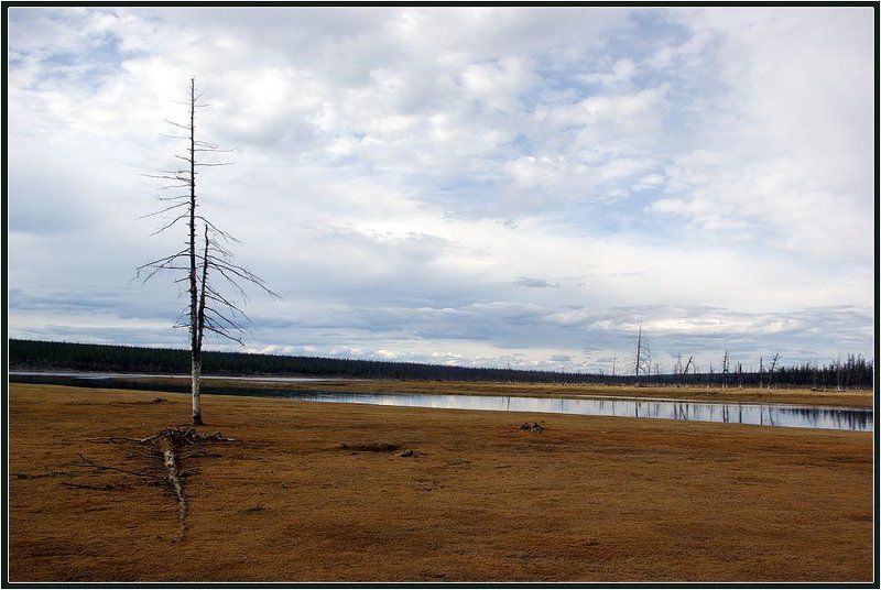 Весеннее-северный мотивphoto preview