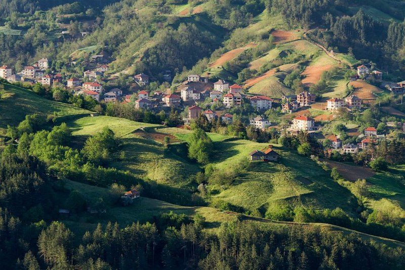 Родопиphoto preview