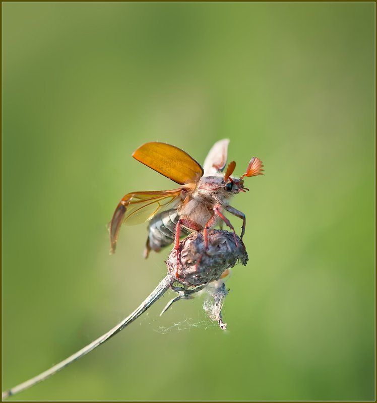 Ключ на старт!photo preview