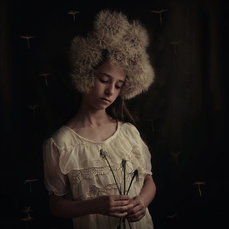 Dreams Fly Away...photo preview