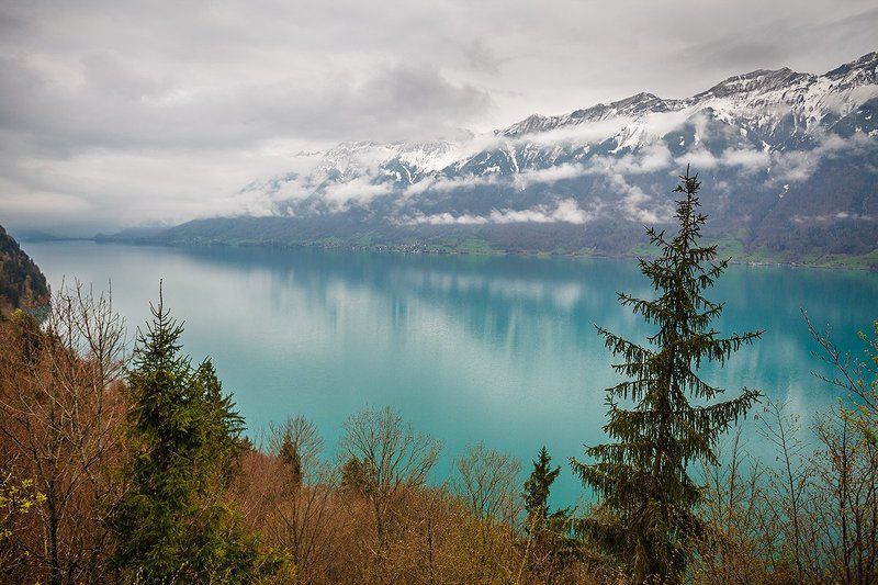 Brienzerseephoto preview