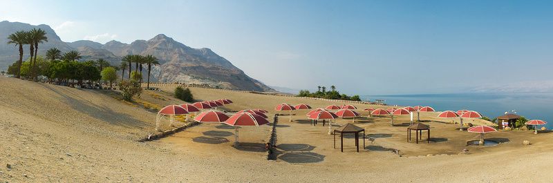 Грибное местоphoto preview