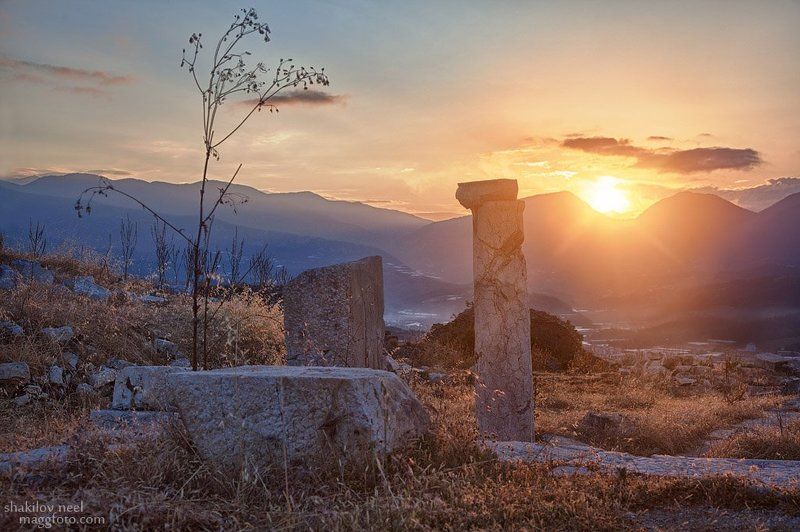 Родиополисphoto preview