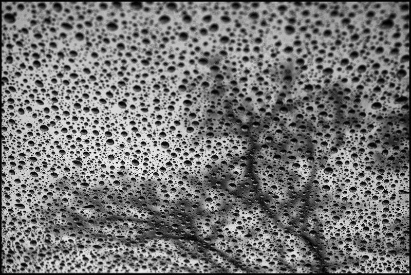 Под чёрным дождёмphoto preview