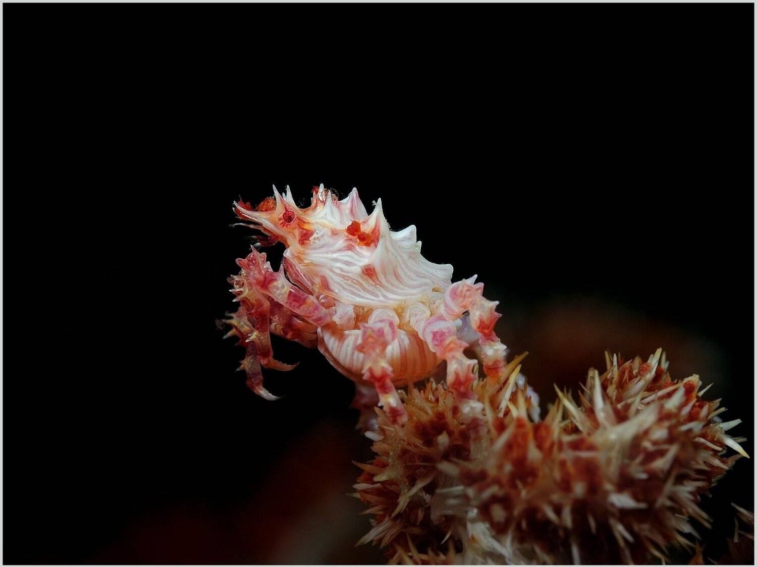 Автор: Unlis ambon, Unlis