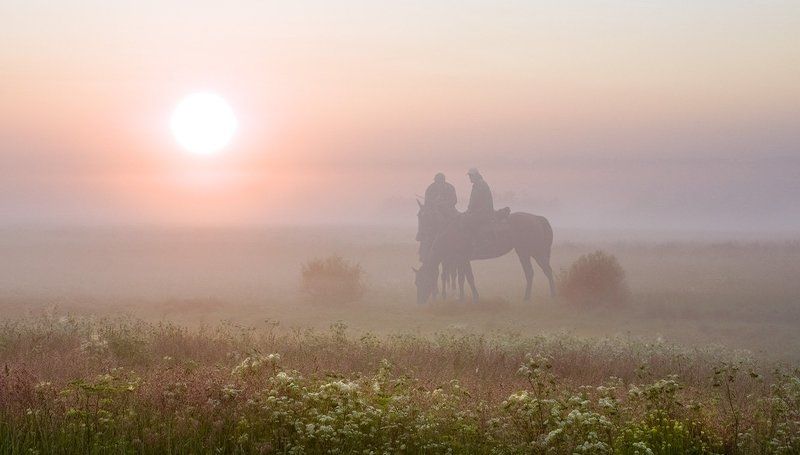 кони, рассвет лошади табун Утро табунщика или песня старого извозчика свалившего из столицы в деревню на дачу...photo preview