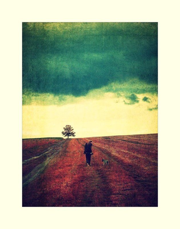 The Treephoto preview