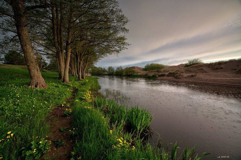 дождьphoto preview