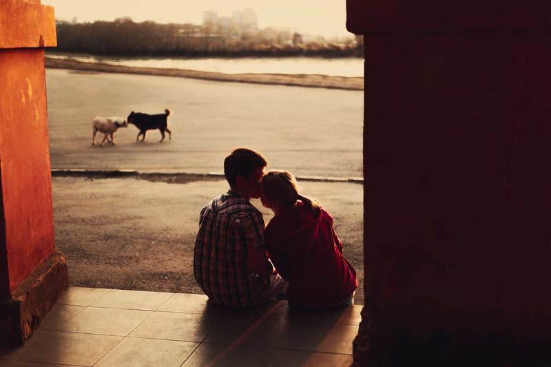 Двое, Любовь, Собаки photo preview
