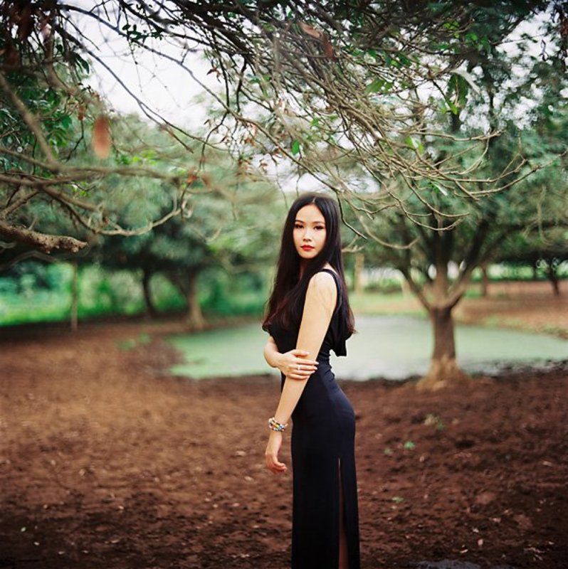 bring me sunshinephoto preview