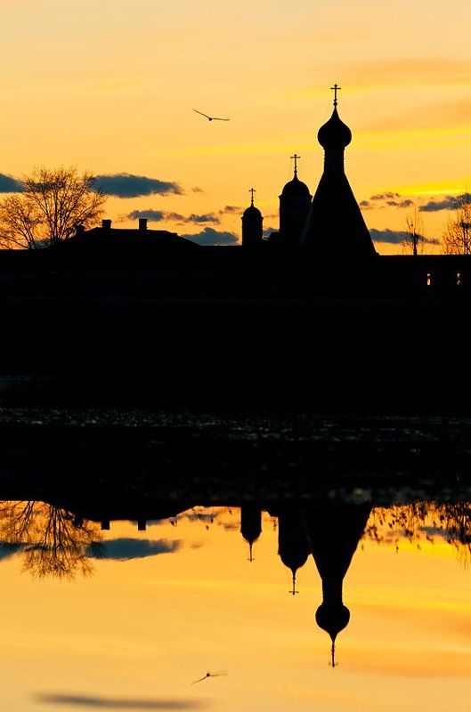 Кирилловphoto preview