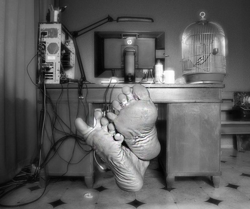 freelancer freelancerphoto preview