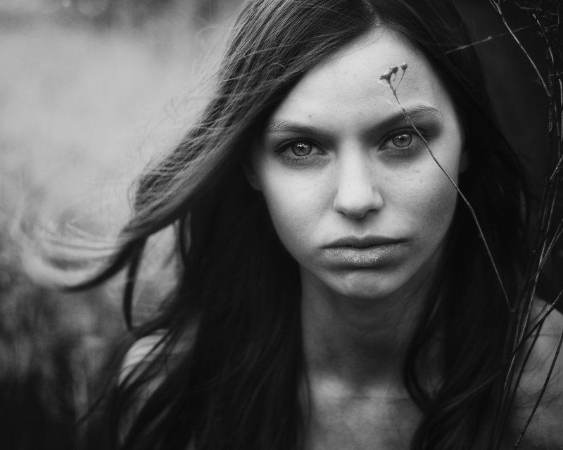 Blades Of Dry Grassphoto preview