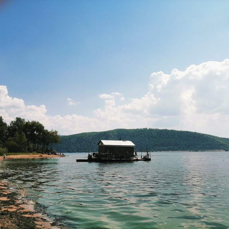 Одинphoto preview