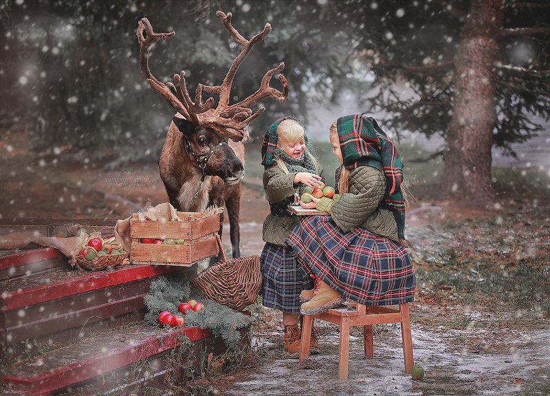 Гномыphoto preview