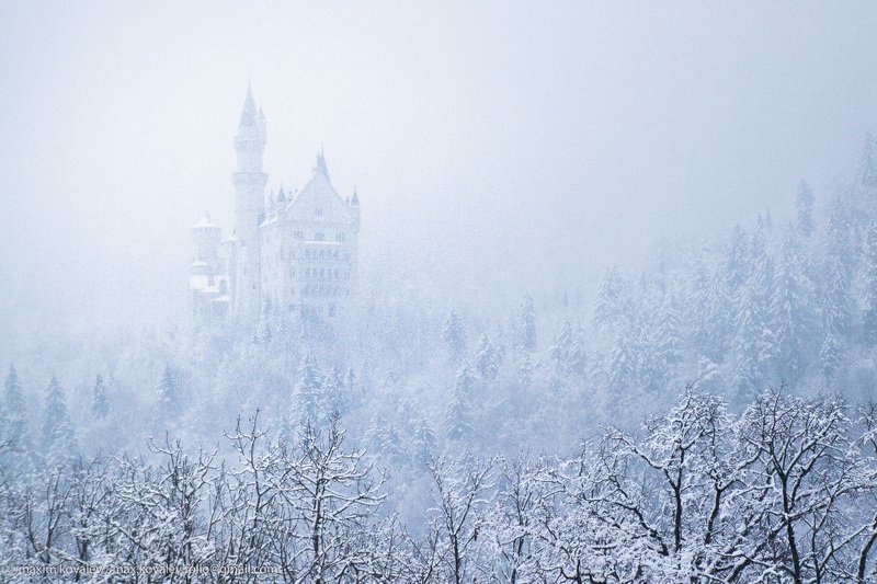 europe, germany, hohenschwangau, neuschwanstein castle, architecture, castle, fog, forest, mountain, nature, plant, snow, tree, winter, германия, европа, нойшванштайн замок, хоэншвангау, архитектура, гора, дерево, замок, зима, лес, природа, растение, снег В снежном облаке / In a snow cloudphoto preview