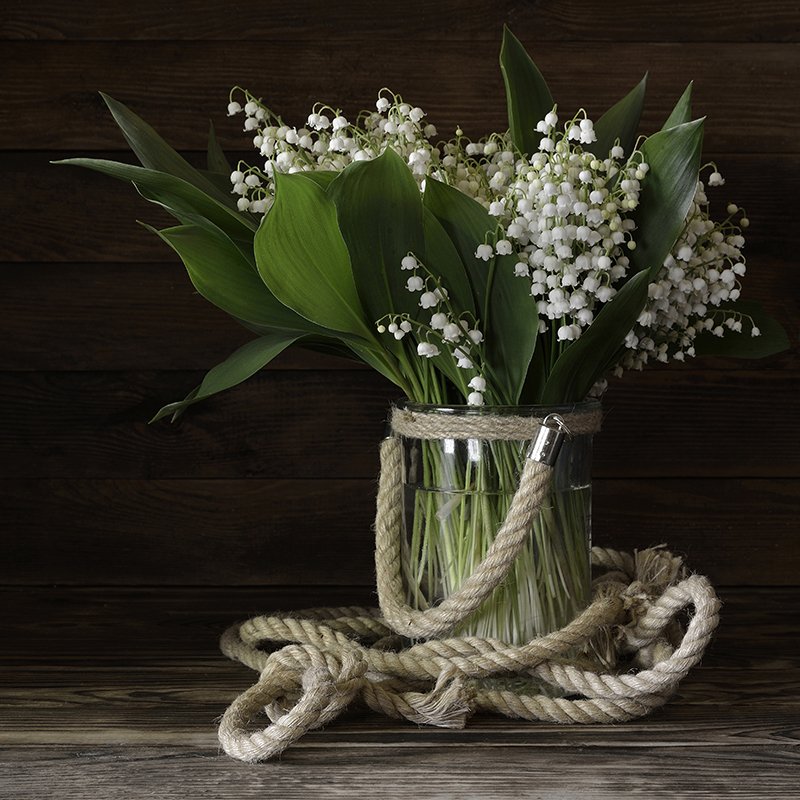 Лесные ландыши.photo preview