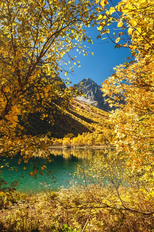 Осенний Домбайphoto preview