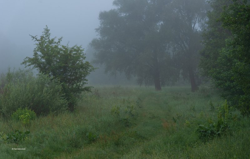 Где трав цветущих запах пряный....photo preview